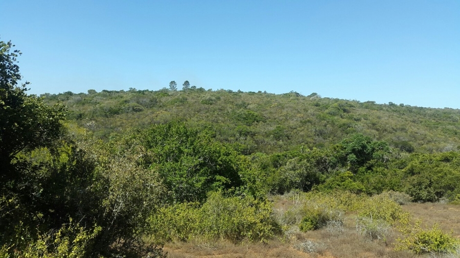 0 Bedroom Property for Sale in Uitenhage Rural Eastern Cape